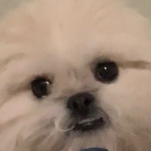 Meet your Posher, Marco